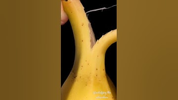 🍌😇 #shorts #satisfyingoddly #asmr #explore #zooming #relaxify #macrofying #zoom #banna #likeforlikes