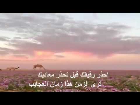 إلقاء شجون