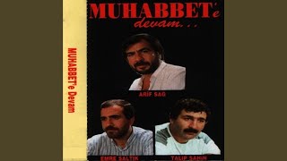 Sen İçeri Düşeli — Arif Sağ kapak görseli