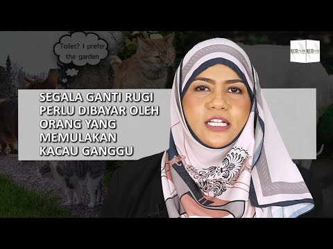 Video: Undang-undang Semasa Untuk Haiwan Peliharaan Dan Perkhidmatan Haiwan Peliharaan Emosi