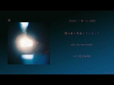 DISH//(딧슈) - 猫 (in 2022, 고양이) [한국어 가사/번역]