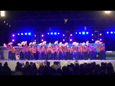 山口県立大学 奄美連合萩組 さん　2017　九州がっ祭/火の国YOSAKOIまつり