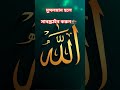 আল্লাহ তুমি সবাইকে মাফ করে দাও🕋🥺 #islamicvideo #islamicvideo #shortvideo #viral
