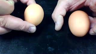 Newton's 1st Law of Motion - Spinning of the Eggs