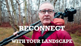 Sometimes its just good to get out : Woodland Photography
