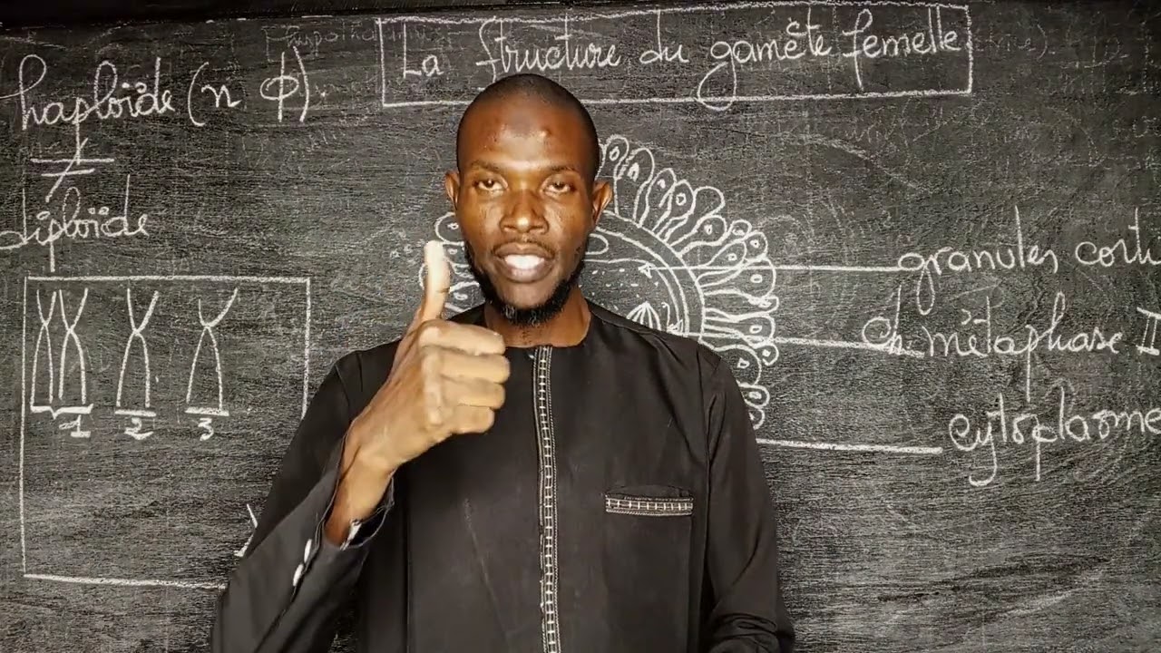 Svt TS et TL : La structure du gamète femelle (l'ovocyte ll)