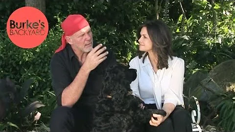 Burke's Backyard, Lisa Wilkinson and Peter FitzSim...