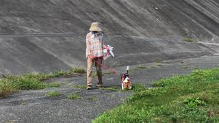 IMG 1362