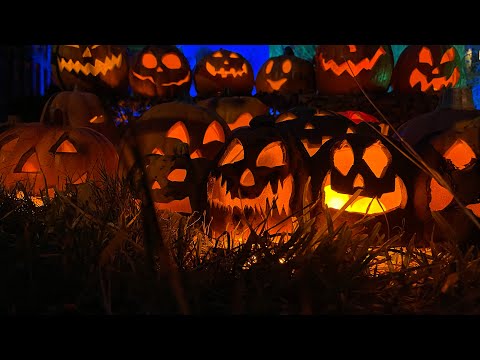 Halloween display 2022 🎃 EXTREEM HALLOWEEN YARD