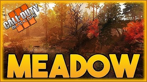 BLACK OPS 3 CUSTOM ZOMBIES - NEW INSANE ZOMBIE MEADOW MAP AND MORE MAPS EPIC LIVESTREAM