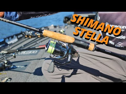 The Shimano Stella FK with Shin Fukae