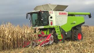 Комбайны Claas Lexion 770 и 760 работают на уборке кукурузы в СПК "Гигант"