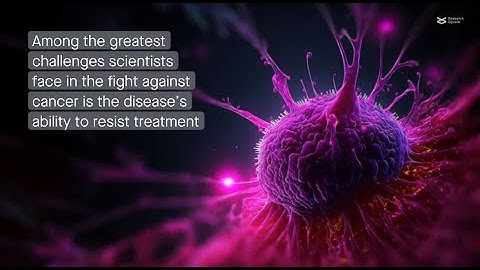 Demystifying the mechanisms of cancer drug resistance