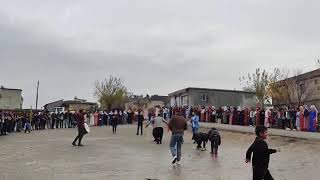 Pertuk Köyü Düğünü Grani Lezgin Ozan Muharrem Dağlar Müzik