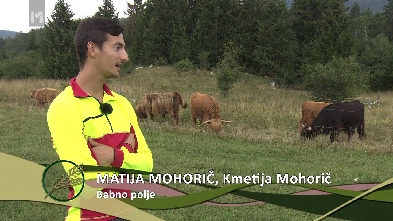 IMK 2019 - Matija Mohorič (INOVATIVNI MLADI KMET 2019)