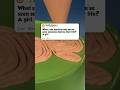 What's the quickest way you've seen someone destroy their life #reddit