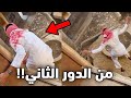 الولد هذا تسلق بيت قديم وطاح 