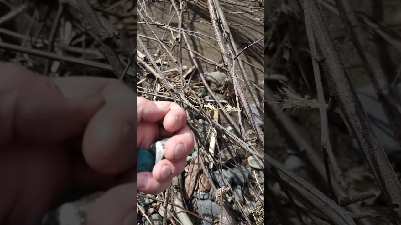 Agates and Jasper Clackamas river find