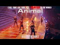 【Live Video】Animal (EXILE TRIBE LIVE TOUR 2021 ”RISING SUN TO THE WORLD&quot;) / BALLISTIK BOYZ