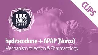 Norco Mechanism of Action & Pharmacology | Drug Cards Daily Clips