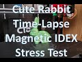 Cute Rabbit Time-Lapse - SuperSlicer - Set Extruder Sequence - Magnetic IDEX Stress Test
