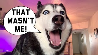 HILARIOUS Talk With Meeka! (SHE FARTED) ‍♀