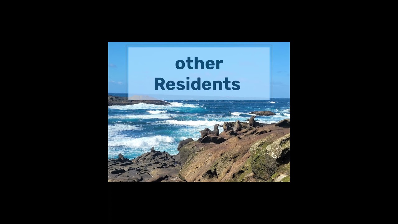 Chatham Island, Rangatira Trip 2025