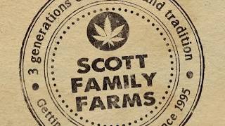 AGP: Interview with Charles Scott A.K.A Reeferman  Pt.2