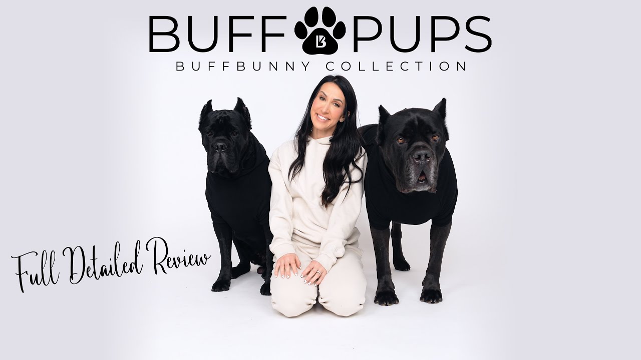 Buffbunny Buff Pup EVERYTHING You Need To Know! 