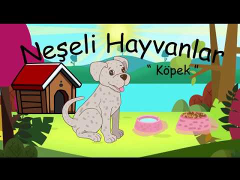 Köpek