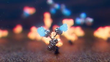 Excellergy ECRI MOA Video