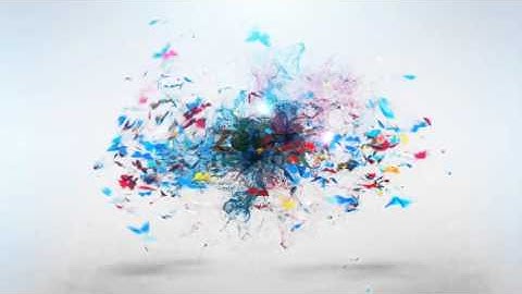 Colorful Butterfly Logo Intro XII3