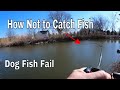 How not to catch dog fish fishing fail