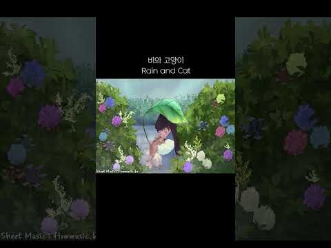 뉴에이지 피아노+빗소리
