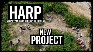 New Project - Hackney Amphibian and Reptile Project