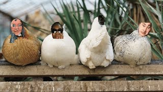 time to cluck in at the coop, hennys. Get writing!