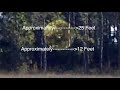 Why is bigfoot unrecognized by science see a giant 25 foot sasquatch captured on film in florida