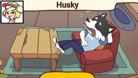 Brain Find Husky Challenge Gameplay Walkthrough.