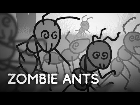 REAL ZOMBIES! + more | FT Miranda Cosgrove