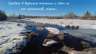 Оредеж в верхнем течении и один из его притоков, март...