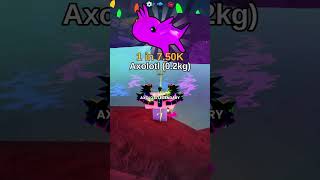 SHARK FISHING IN ROBLOX??? 🦈🦈🦈 screenshot 2