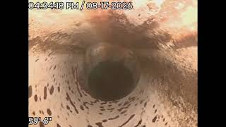 1773 E 96th Dr Thornton CO Post cleaning scope