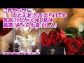 薔薇の化身/岩波理恵 カバー(♯3)