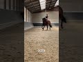15 лет конного спорта 🔥