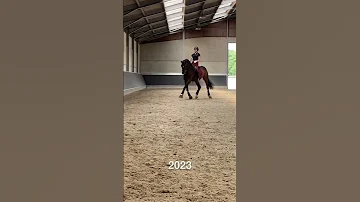 15 лет конного спорта 🔥