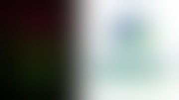 Automated Capital - EnviFX | Another Excellent Week! | The Recovery Continues