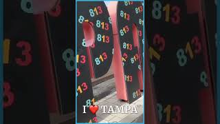 Happy 813 Day from WUSF Public Media