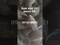 Bush Snail available at Jetcee food store to place order contact 09165186021