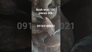 Bush Snail available at Jetcee food store to place order contact 09165186021