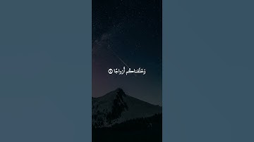 سورة النبأ: القارئ فيصل الهاجري